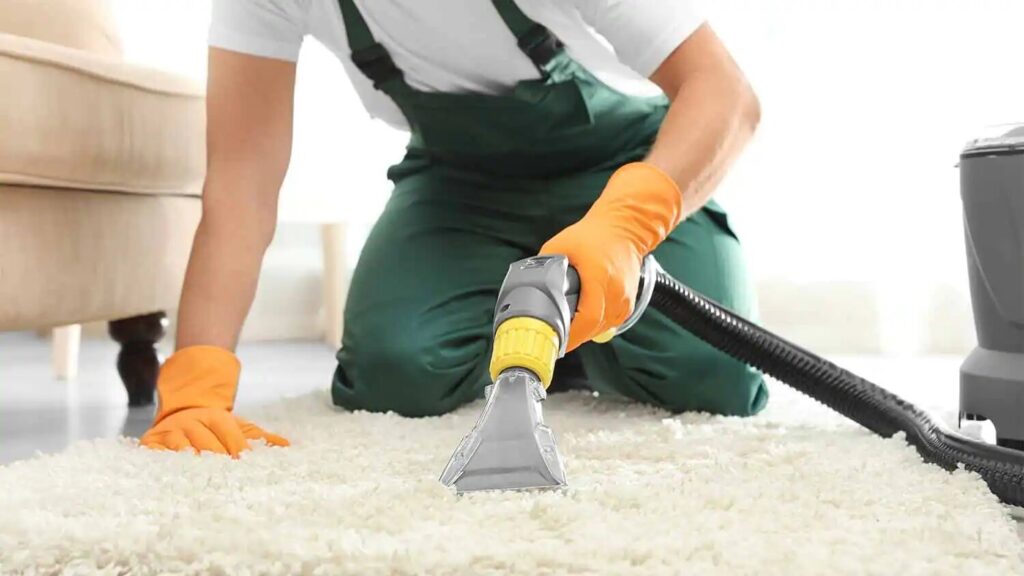 carpet cleaning services